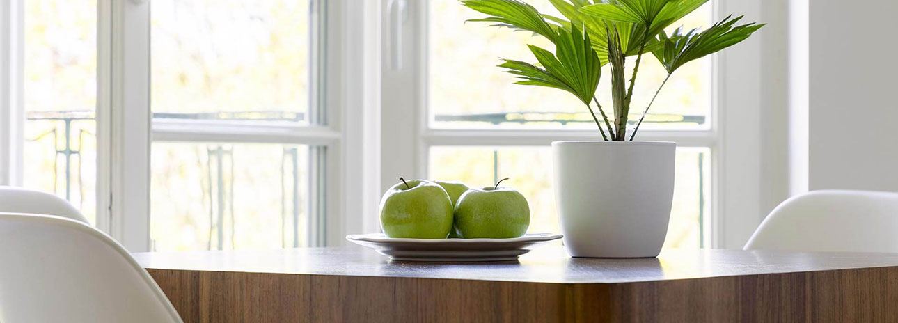 Homepage Fa. CALE Bauelemente GmbH: Startbild